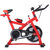 健身车家用动感单车超静音室内脚踏车(红色 经典版)