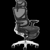 【久坐人士】达宝利Ergosmart豪华版 人体工学椅办公椅电脑椅家用透气网布椅旋转升降游戏椅老板椅(黑色铝合金脚 脚拖)