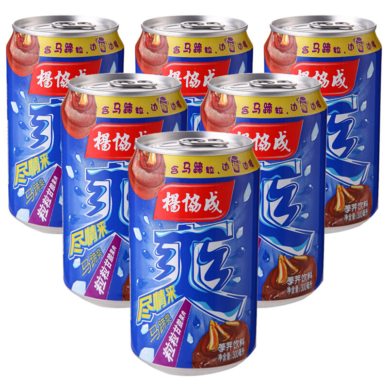 马蹄爽荸荠饮料300ml*6 荸荠果汁果肉饮料新加坡百年品牌新老包装随机