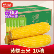 爱心农场 黄糯玉米200g*10 香甜玉米，快速锁鲜