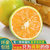 湖北秭归应季新鲜水果 夏橙  酸甜多汁  适合夏季榨汁的水果(5斤中果)