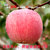 烟台栖霞 红富士 山东苹果当季5斤水果新鲜包邮批发应季非冰糖心(5斤装 7cm-7.5cm)