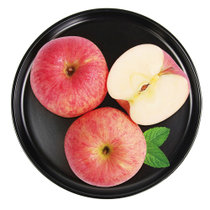 国美真选 陕北黄土高坡苹果#80-85精品9枚装 净重约4.5斤 沁甜多汁 新果下树 霜降苹果