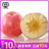 新鲜苹果宁夏沙坡头红富士苹果脆甜孕妇一级果脆甜多汁(6颗装 1500)