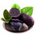 长顺黑金刚紫土豆4.5斤 新鲜蔬菜现挖现发 马铃薯洋芋(4.5斤装)