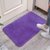 地垫地毯进门卧室卫生间吸水防滑垫入户门垫家用浴室厨房垫子床边(40*60cm【亏本冲量】 绒紫色)