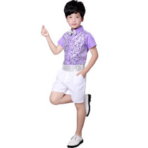 六一儿童演出服装女公主裙舞蹈服幼儿园环保表演服亮片蓬蓬裙合唱(男款紫色)(160cm)
