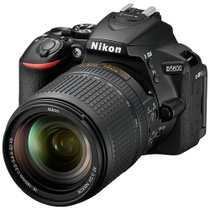 尼康（Nikon）D5600 入门级单反相机/照相机 蓝牙 高清旅行便携家用 搭配尼康18-140mm f/3.5-5.6G VR套机