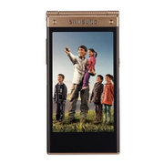 三星（ Samsung） W2014 电信3G 双模双待 四核安卓智能 (金色)