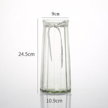 玻璃花瓶透明水养富贵竹百合花瓶摆件客厅插花干花北欧家用特大号(高档直款（透明色1只） 大)