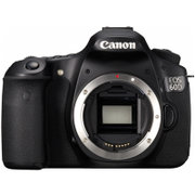 佳能（Canon）EOS 60D 专业单反相机 60d 单机身 佳能 60D 相机(黑色 优惠套餐五)