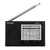 德生（TECSUN)R-909TV 调频/调幅/电视伴音收音机（黑色）
