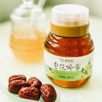 颐寿园枣花蜂蜜480g 25年品牌 纯正蜂蜜