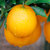 阿丽米罕 脐橙 5斤 新鲜水果酸甜多汁徒手可剥橙子