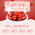 含羞草  27度草莓干  100克  宁夏新疆青海云南贵州西藏港澳台海外不发货(红色 休闲零食)