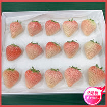白草莓淡雪白色草莓礼盒新鲜白雪公主奶油牛奶草莓情人节礼物水果丹东东港(生鲜储存温度 500g普通装)