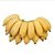 新鲜大蕉/芭蕉 新鲜水果产地直发广东农家特产非粉蕉banana*10(110斤)