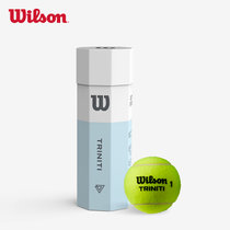 威尔胜网澳网专业比赛训练网球WRT125200有压球3粒装 国美超市甄选