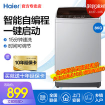 Haier/海尔洗衣机全自动家用波轮8公斤大容量静音 特 价XQB80-Z1269(8公斤)