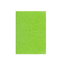 天正太古 美克罗蒙商务办公pu笔记本礼盒套装(绿色80g)