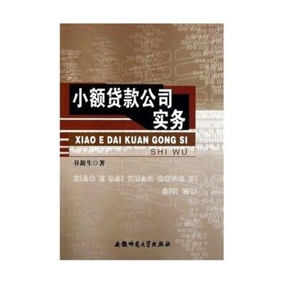 小额贷款公司实务