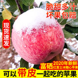 甜典 宁夏沙坡头富硒红富士冰糖心苹果(80mm（含）-85mm(不含) 9斤)