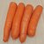 胡萝卜10斤新鲜蔬菜水果脆甜红心萝卜5斤徐州产地直销包邮食用3斤(5kg)