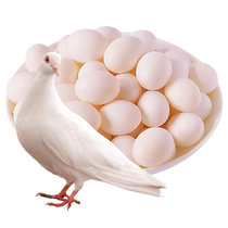 新鲜鸽子蛋精选农家信白鸽蛋土特产孕妇宝宝辅食精选农家杂粮白鸽蛋鸽子蛋(鸽子蛋20枚)