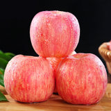 山东红富士苹果水果 超大果 净重4.8斤 果径85mm以上 新鲜水果苹果 个大皮薄 脆甜多汁(5斤装)