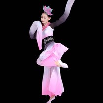 水袖舞蹈服中国风粉墨古典舞演出服女飘逸惊鸿舞古风甩袖汉服成人(水袖渐变)