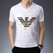 LIDENAMANI/阿玛尼男士T恤衫上衣V领中青年商务休闲时尚男装体恤半袖棉质衣服(白色 175/XL)