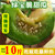 绿宝石甜瓜新鲜现货5斤小香瓜当季10翡翠脆瓜带种籽山东绿宝甜瓜(5斤装 5斤)