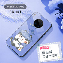 华为mate30pro手机壳套 华为MATE30Pro保护套 5G版 钢化玻璃壳镜面软硅胶全包边个性卡通硬壳(图9)