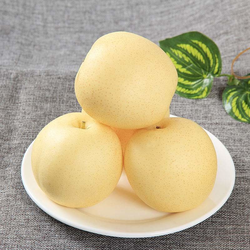 华北雪梨皇冠梨雪花梨水果新鲜梨子应季水果批发整箱梨子薄皮润肺酥梨