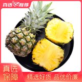 云南香水小菠萝3斤/5斤/9斤装单果350g起(3斤)