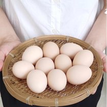 17岁的甜湖南溆浦农村土鸡蛋散养白壳鸡蛋10枚装 营养丰富