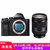 索尼(SONY）A7套机（含FE24-240mm F3.5-6.3 OSS）镜头 全画幅微单相机(官方标配)