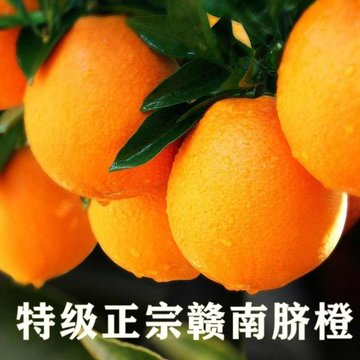 【江西赣州张张笑新鲜水果】正宗赣南脐橙新鲜橙子大.