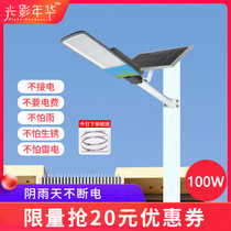 光影年华太阳能分体式路灯 压铸铝+光学透镜材质太阳能板供电(灰色 100W)