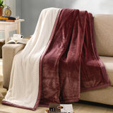 南极人 贝贝绒毯子毛毯 空调毯午睡毯 四季毯子 酒红 双层加厚(酒红)