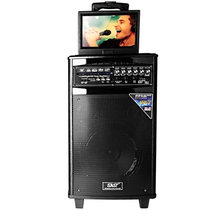 先科（SAST）ST-1708 支持DVD播放10.1寸显示屏户外广场舞音响拉杆便携移动大功率10寸低音喇叭插卡蓝牙音箱