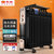 先锋(SingFun)家用取暖器电暖器电暖气节能低噪全屋速热加湿干衣 15片DYT-Z2Pro(油汀加热)