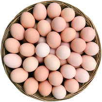【当天现捡现发】黄河滩区农家潵养土鸡蛋草鸡蛋新鲜柴鸡蛋笨鸡蛋·(南瓜黄土鸡蛋30枚大个头)