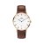 丹尼尔惠灵顿 (DanielWellington )手表DAPPER系列石英女表DW00100091