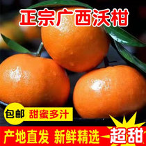 【香甜诱惑】广西武鸣沃柑 3斤 5斤 9斤 产地直发 新鲜水果(特大果70mm以上 5斤)
