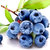 【花青宝】新鲜蓝莓非野生水果125g6盒