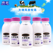 欧亚牛奶大理牧场低温酸奶蓝莓酸奶酸牛奶243g*6瓶(自定义 自定义)
