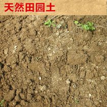 田园土沙土家庭园艺栽花种菜土壤 营养土大包黄土养花土泥土包邮(9.2斤)