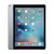 Apple iPad Pro 12.9英寸 平板电脑( WiFi版/通话版)(灰色 全网通版)