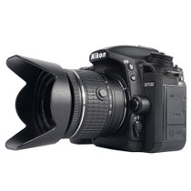 尼康（Nikon） D7500 单反相机 4K视频录制 尼康AF-P 18-55 f/3.5-5.6G VR